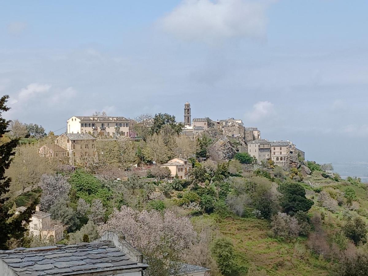 Casa Pernice Penta di Casinca Esterno foto