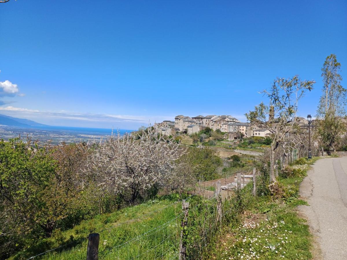 Casa Pernice Penta di Casinca Esterno foto