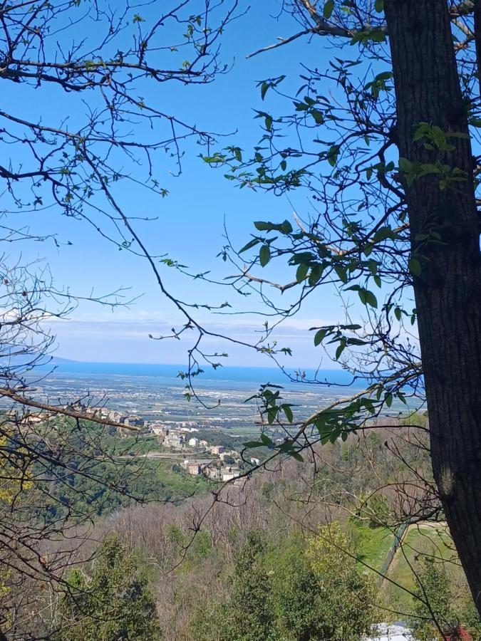 Casa Pernice Penta di Casinca Esterno foto