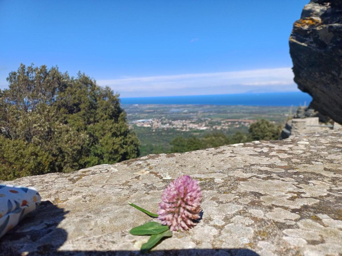 Casa Pernice Penta di Casinca Esterno foto